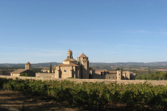 Monestir de Poblet, vinyes