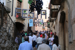 Festa del Trepat, Barberà de la Conca